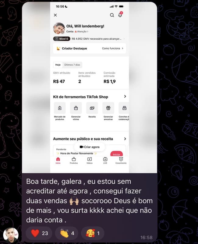 Captura de resultado de aluno fornecida pelo produtor