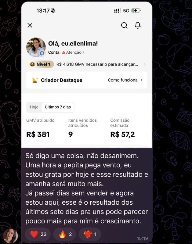 Captura de resultado de aluno fornecida pelo produtor