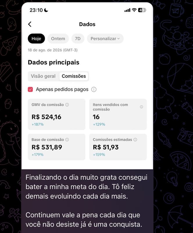 Captura de resultado de aluno fornecida pelo produtor