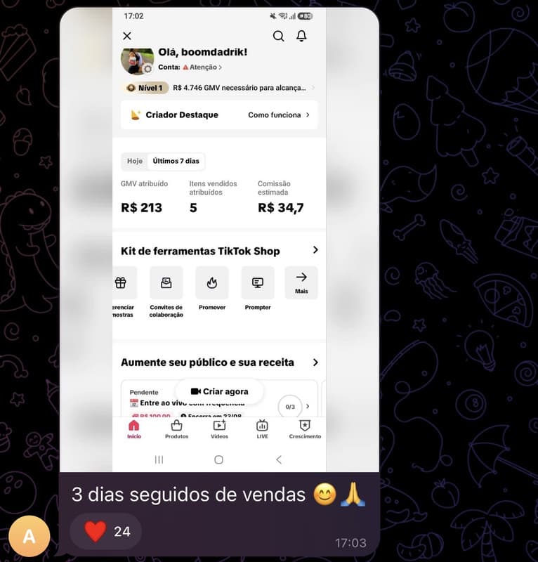 Captura de resultado de aluno fornecida pelo produtor