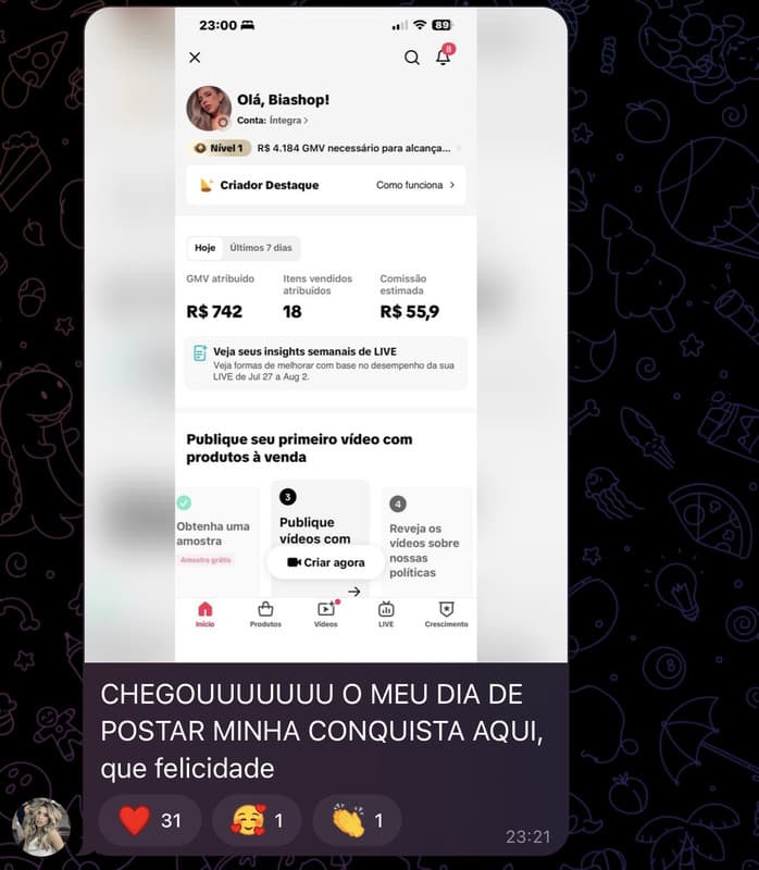 Captura de resultado de aluno fornecida pelo produtor
